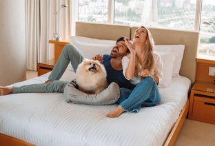 Pet Friendly