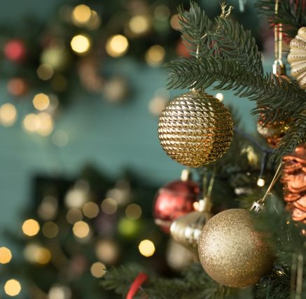 Já sabe onde passar o Natal? Veja como escolher o lugar ideal